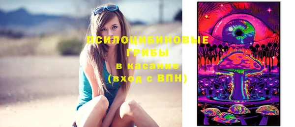 амф Володарск