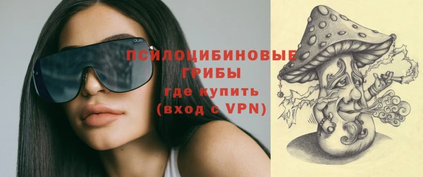 мдпв Волосово