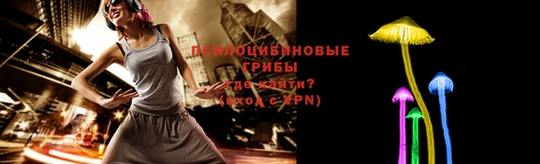 амф Володарск