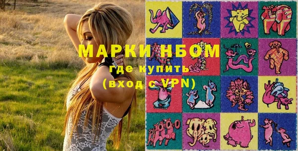 прущие грибы Сосновоборск