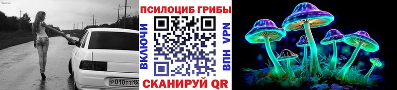 Псилоцибиновые грибы Psilocybe  Гусь-Хрустальный 