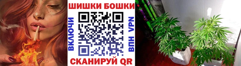 наркотики Гусь-Хрустальный Бошки Шишки THC 21%
